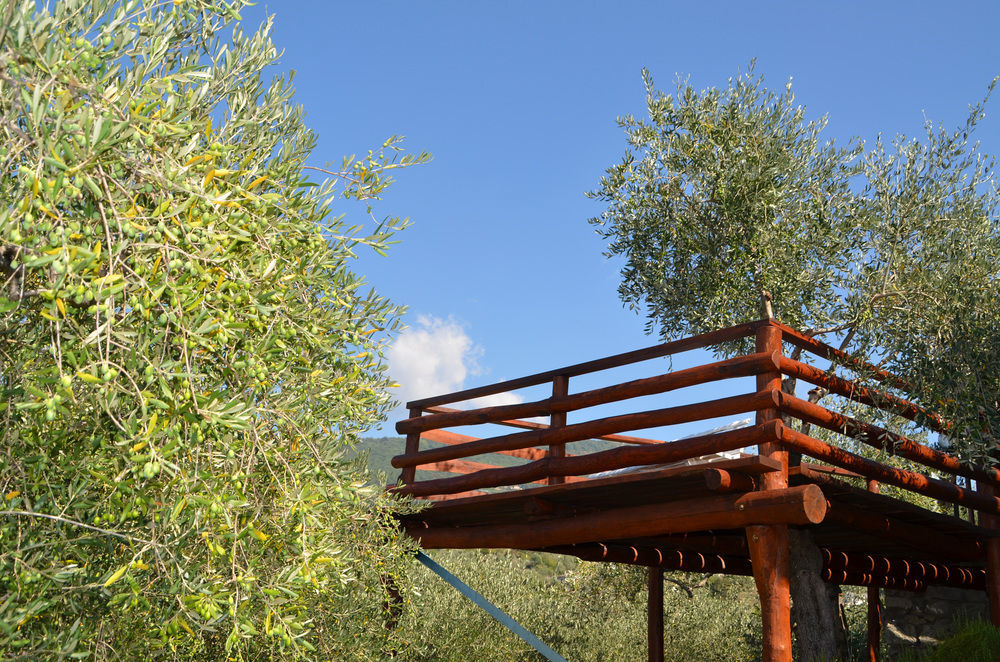 Agri Bed - L'Affittacamere In Collina - Guest Room On The Hill Lavagna Luaran gambar