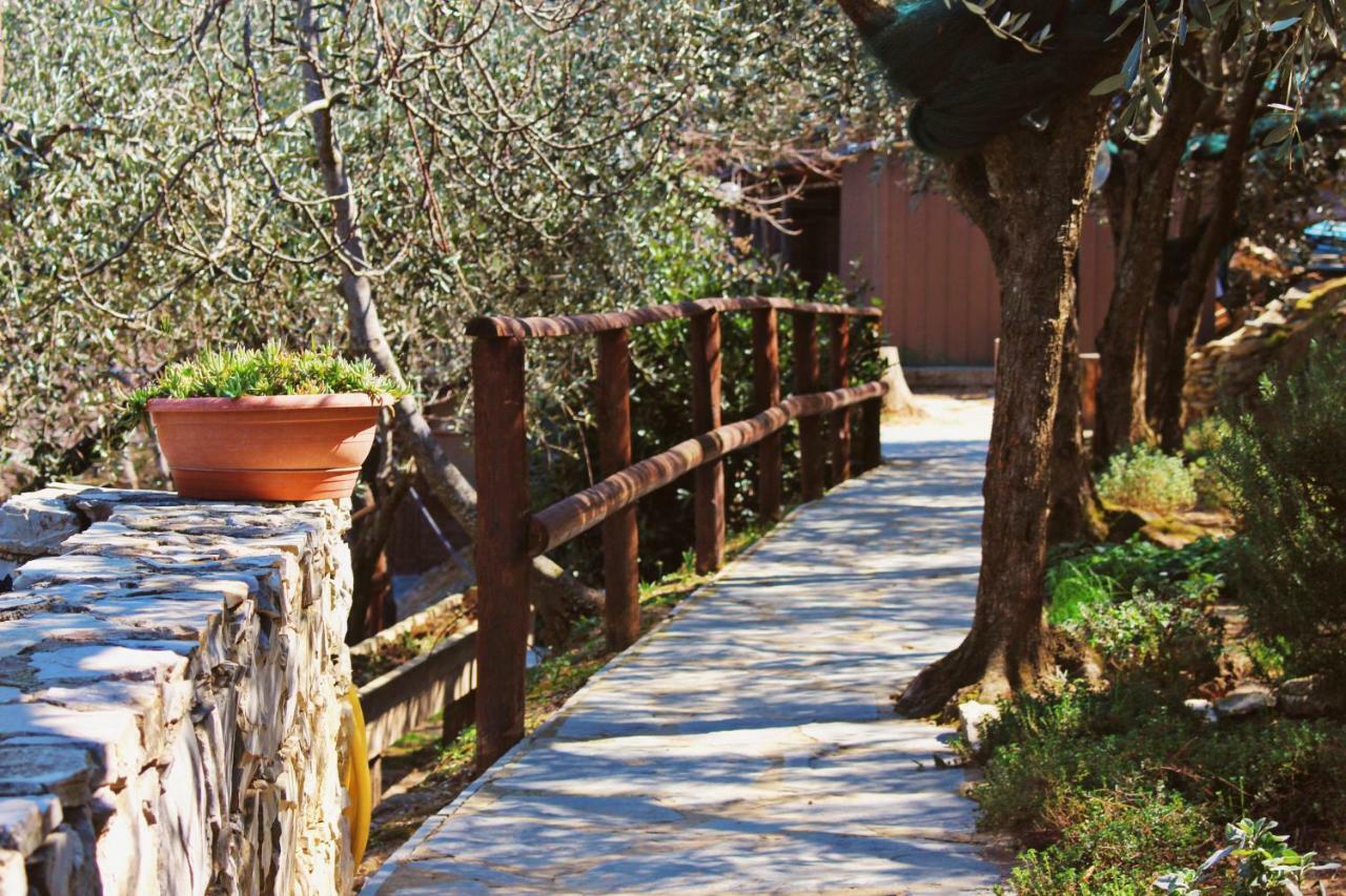 Agri Bed - L'Affittacamere In Collina - Guest Room On The Hill Lavagna Luaran gambar